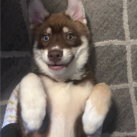 Meet Your Posher - Picture 5 of 6